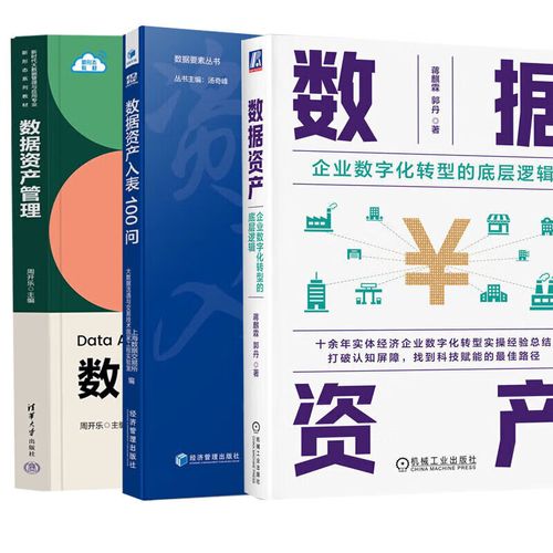 数据资产入表100问+数据资产管理+数据资产 企业数字化转型的底层逻辑